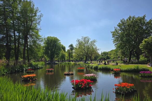 Vondelpark - SillySuitcase