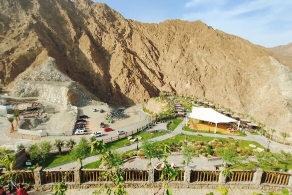 Wadi Shees - SillySuitcase