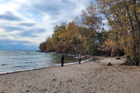Ward S Island Beach - SillySuitcase