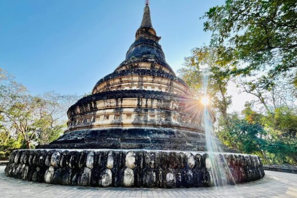 Wat Umong Suan Putthatham - SillySuitcase