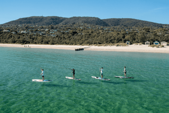 Wild Adventures Melbourne - SillySuitcase