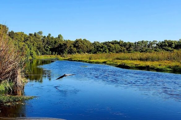 Yanchep National Park - SillySuitcase
