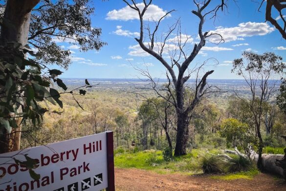 Zig Zag Scenic Drive - SillySuitcase