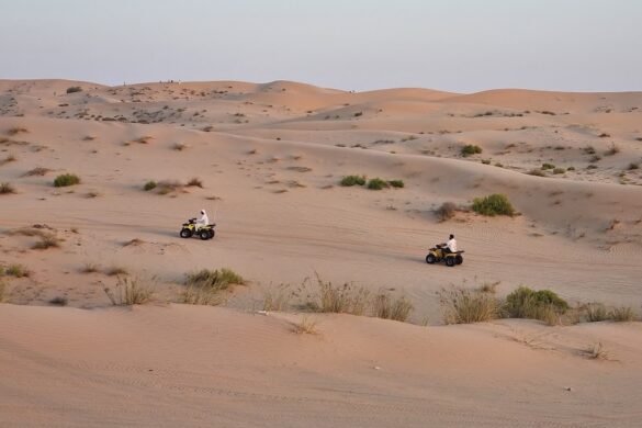 Abu Dhabi Desert Safari - SillySuitcase