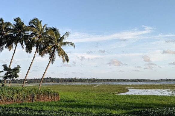 Adat Padam View Point - SillySuitcase