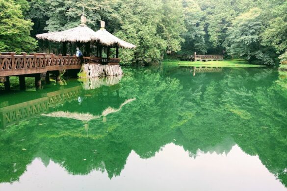Alishan National Forest Recreation Area - SillySuitcase