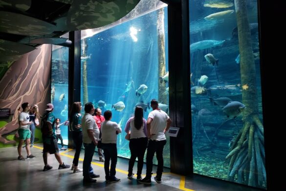 Aquarium Medellin - SillySuitcase