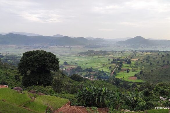 Araku Valley - SillySuitcase