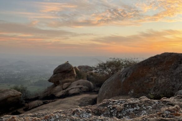 Awesome Adventures In Bangalore - SillySuitcase