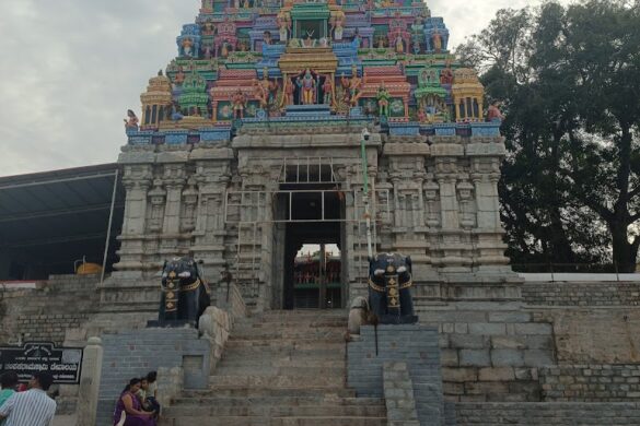Bannerghatta Hills - SillySuitcase