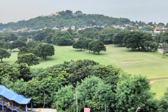 Battlefield Seige Of Madras - SillySuitcase