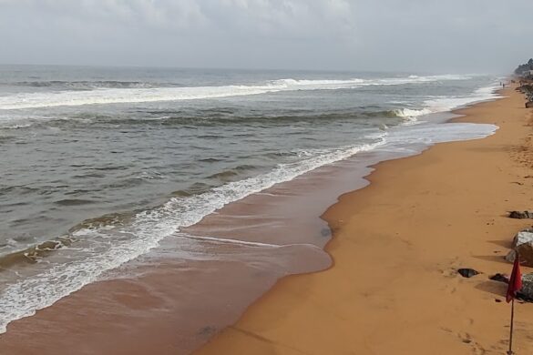 Beach View Point - SillySuitcase