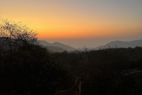 Best Hiking Trekking In Jaipur - SillySuitcase