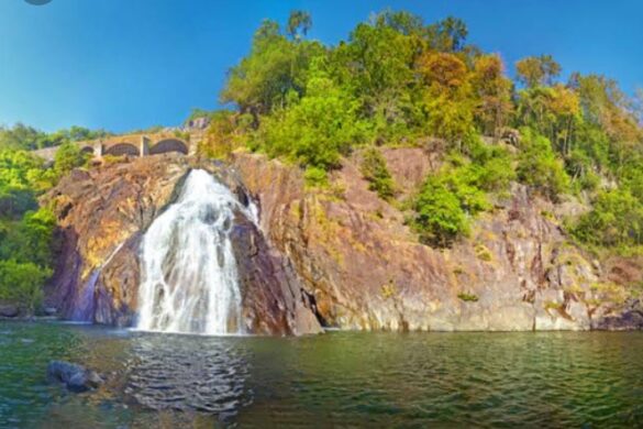 Bhagwan Mahavir Wildlife Sanctuary - SillySuitcase