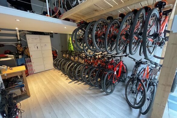 Bike Relax - SillySuitcase