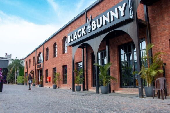 Black Bunny - SillySuitcase