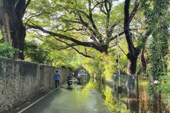 Blue Cross Road - SillySuitcase