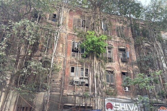 Calcutta Walks - SillySuitcase