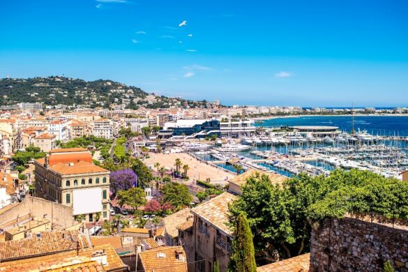 Cannes Free Walking Tours - SillySuitcase