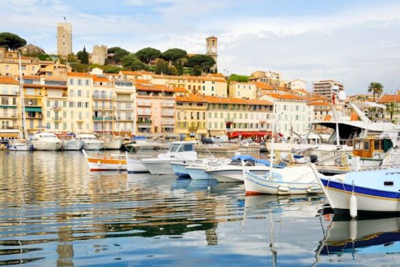 Cannes Seecannes - SillySuitcase
