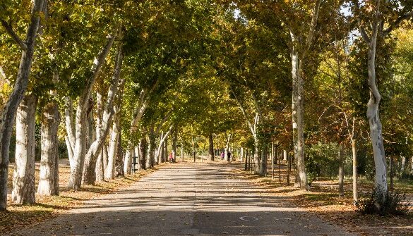 Casa De Campo - SillySuitcase