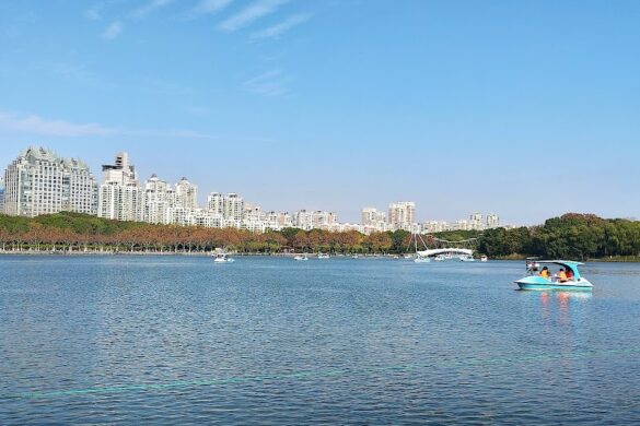 Century Park - SillySuitcase
