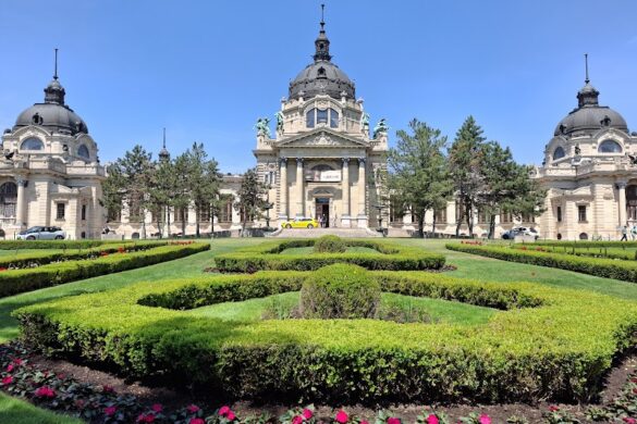 City Park - SillySuitcase