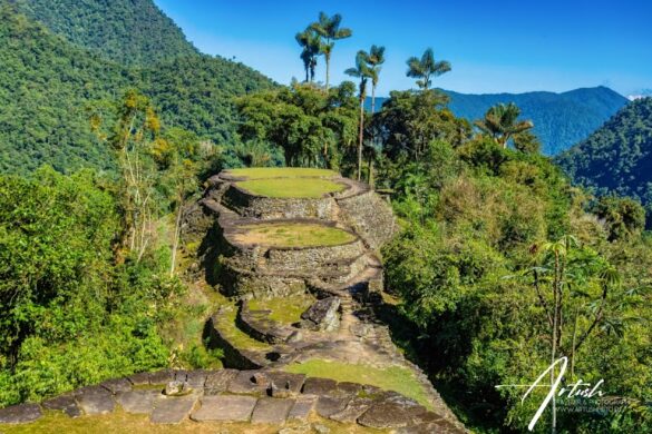 Ciudad Perdida - SillySuitcase