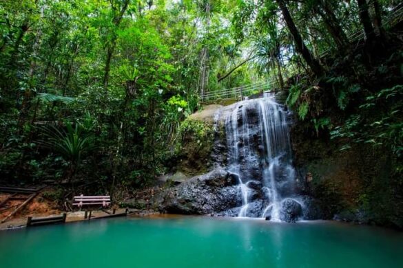 Colo I Suva Forest Park - SillySuitcase