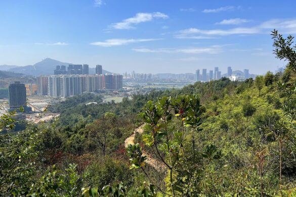 Coloane North East Hiking Trail Network - SillySuitcase