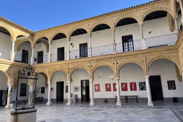 Culturea Experience - SillySuitcase