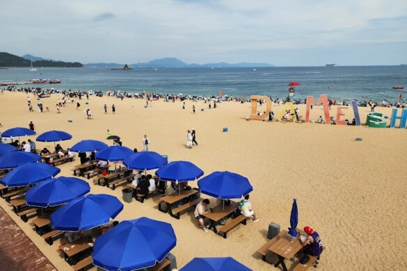 Dameisha Seashore Park - SillySuitcase