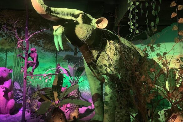 Dark Ride Evolution Of Life - SillySuitcase