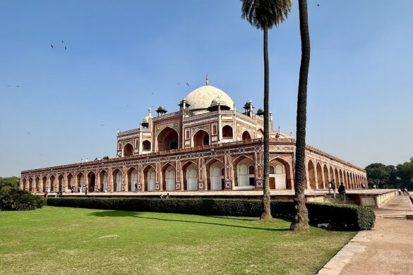 Delhi Tour Guide Harry - SillySuitcase