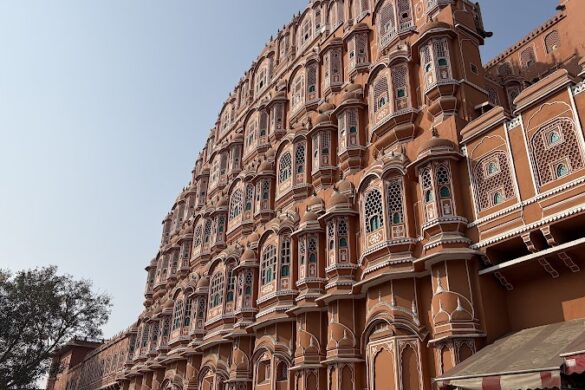 Dhanraj Jaipur Tour Guide - SillySuitcase