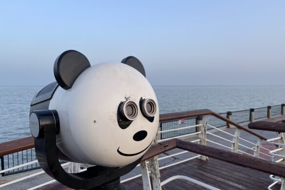Dongdi Park - SillySuitcase
