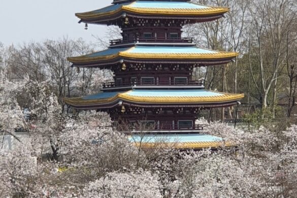 East Lake Cherry Blossom Park - SillySuitcase
