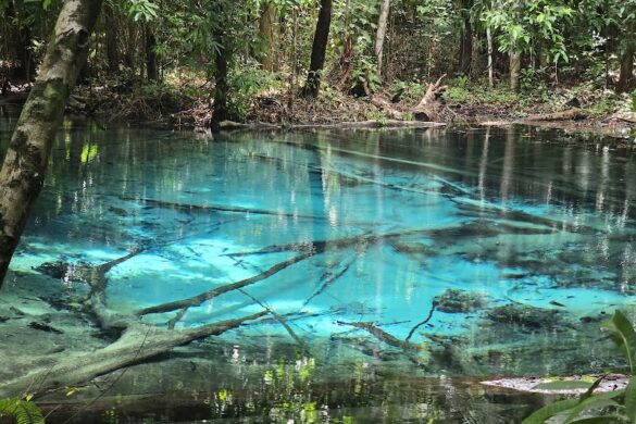 Emerald Pool - SillySuitcase