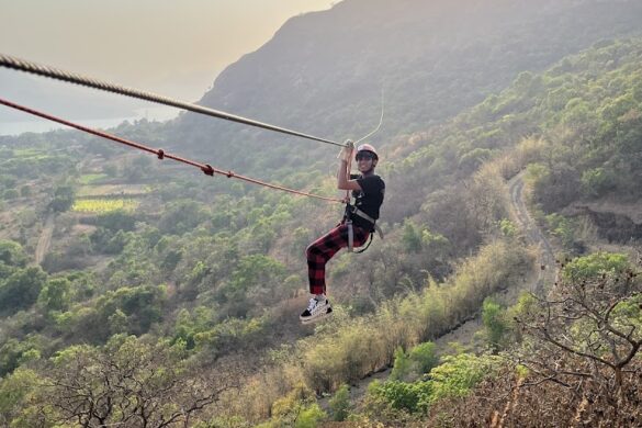 Flying Baba Zipline - SillySuitcase
