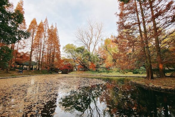 Gongqing Forest Park - SillySuitcase