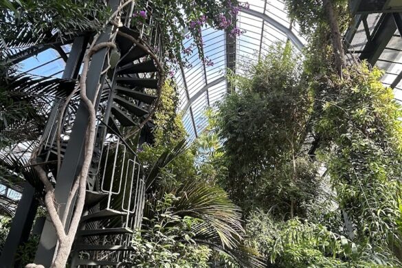 Grandes Serres Du Parc De La T Te D Or - SillySuitcase