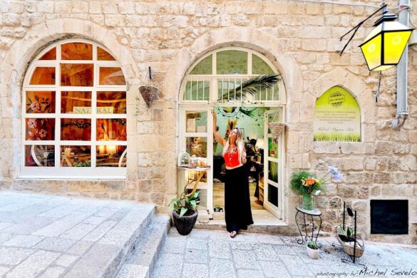 House Of Nature Dubrovnik - SillySuitcase