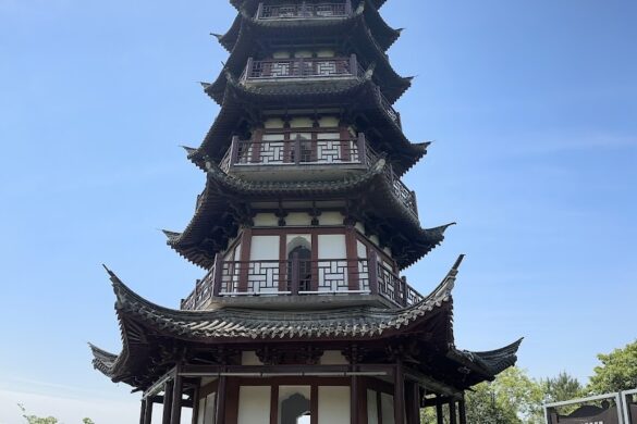 Huangxian Forest Park - SillySuitcase