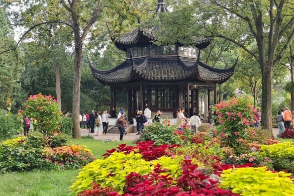 Humble Administrator S Garden - SillySuitcase
