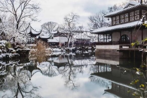 Humble Administrator S Garden - SillySuitcase