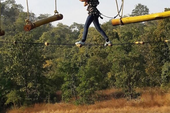 Ideas Adventure And Summer Camp Nagpur Office - SillySuitcase