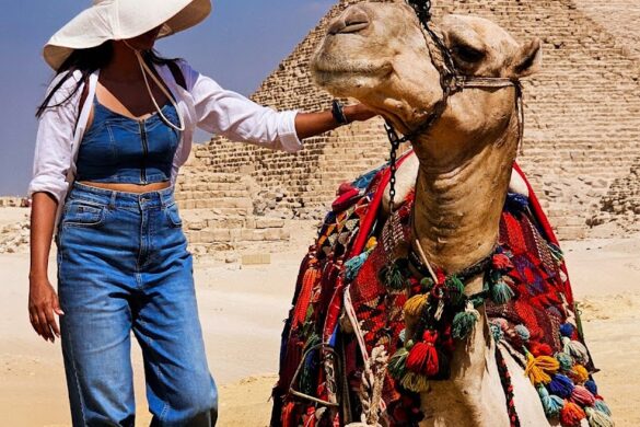 Iegypt Tours Travels - SillySuitcase