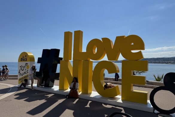 Ilovenice - SillySuitcase