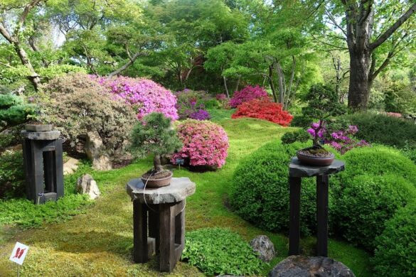 Japanese Garden - SillySuitcase