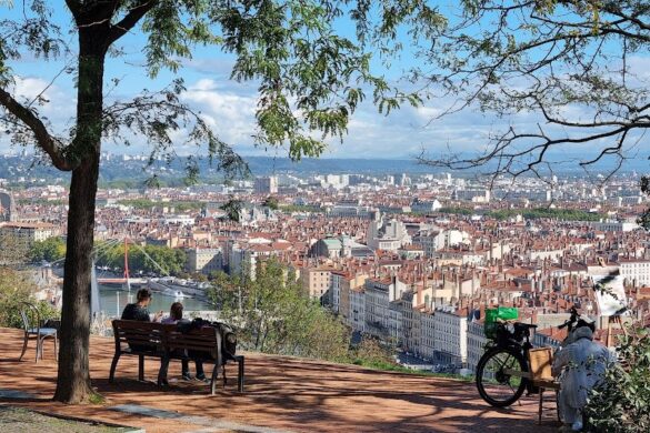 Jardin Des Curiosit S - SillySuitcase